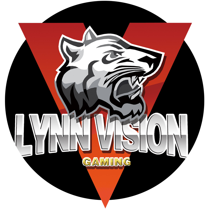 Lynn Vision
